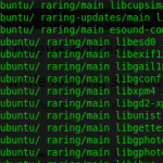 Mint Terminal