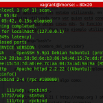 nmap detection port
